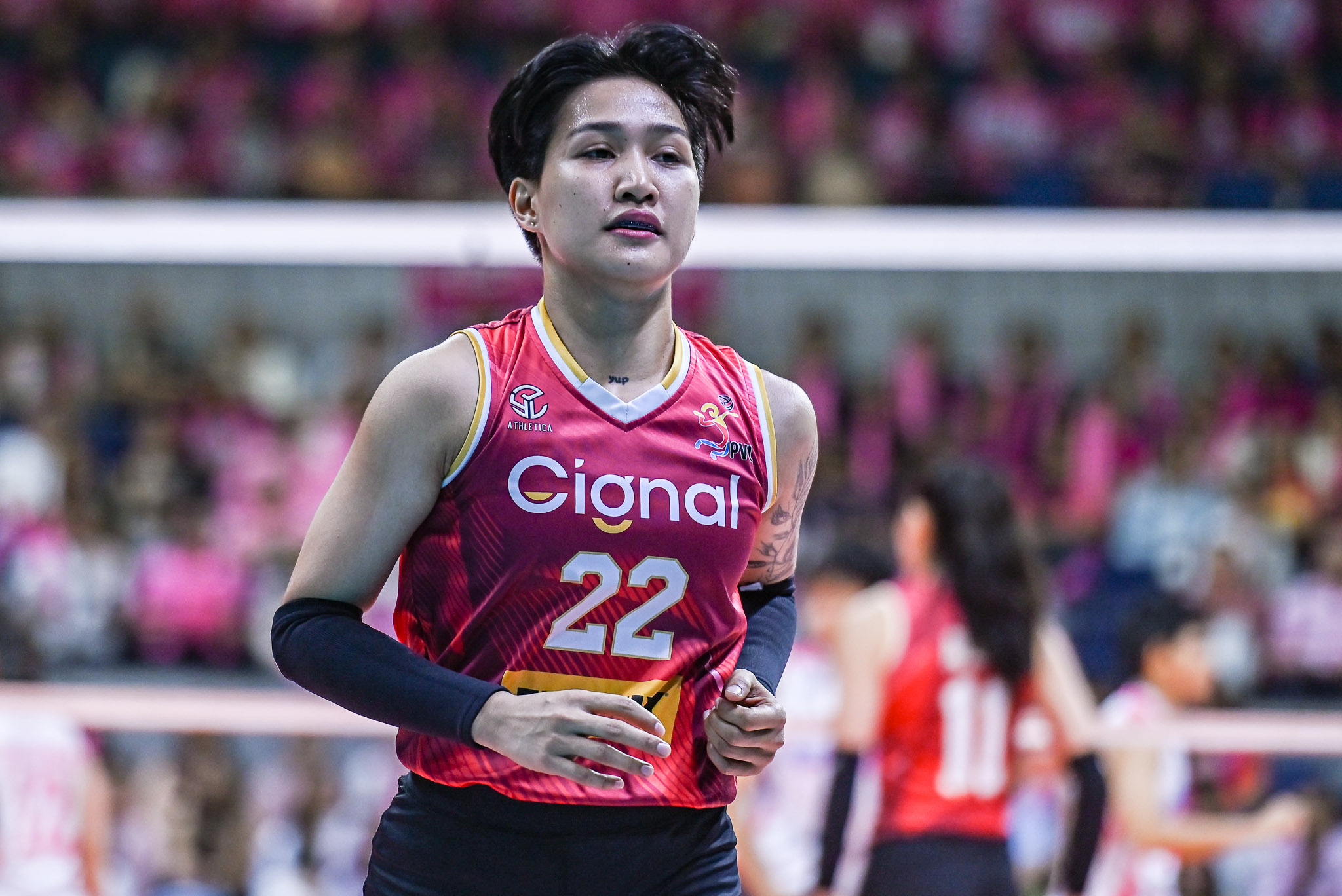 Gel Cayuna headlines expected Nxled revamp as former Cignal stars begin finding new PVL homes